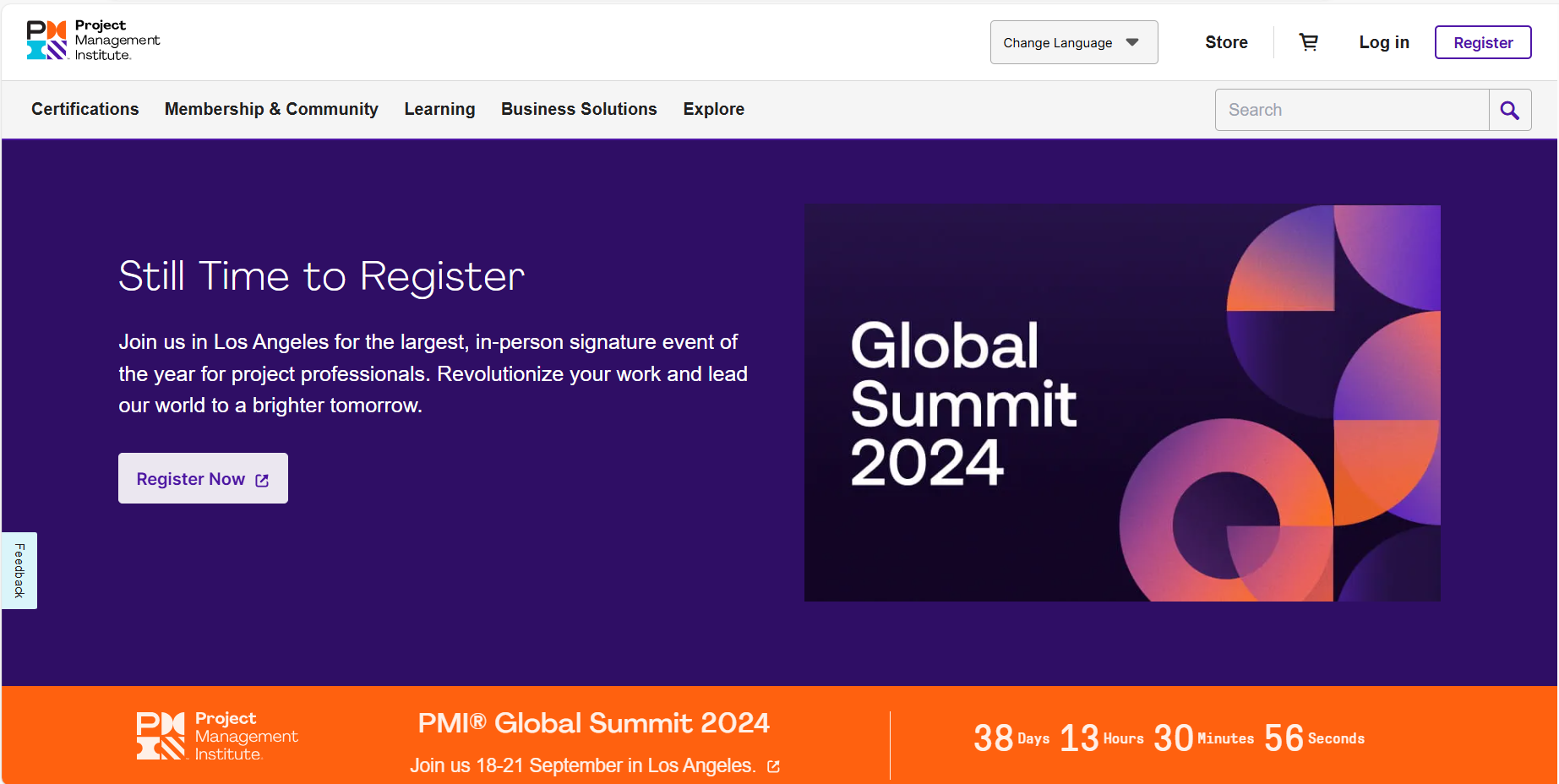 Project Management Institute (PMI)