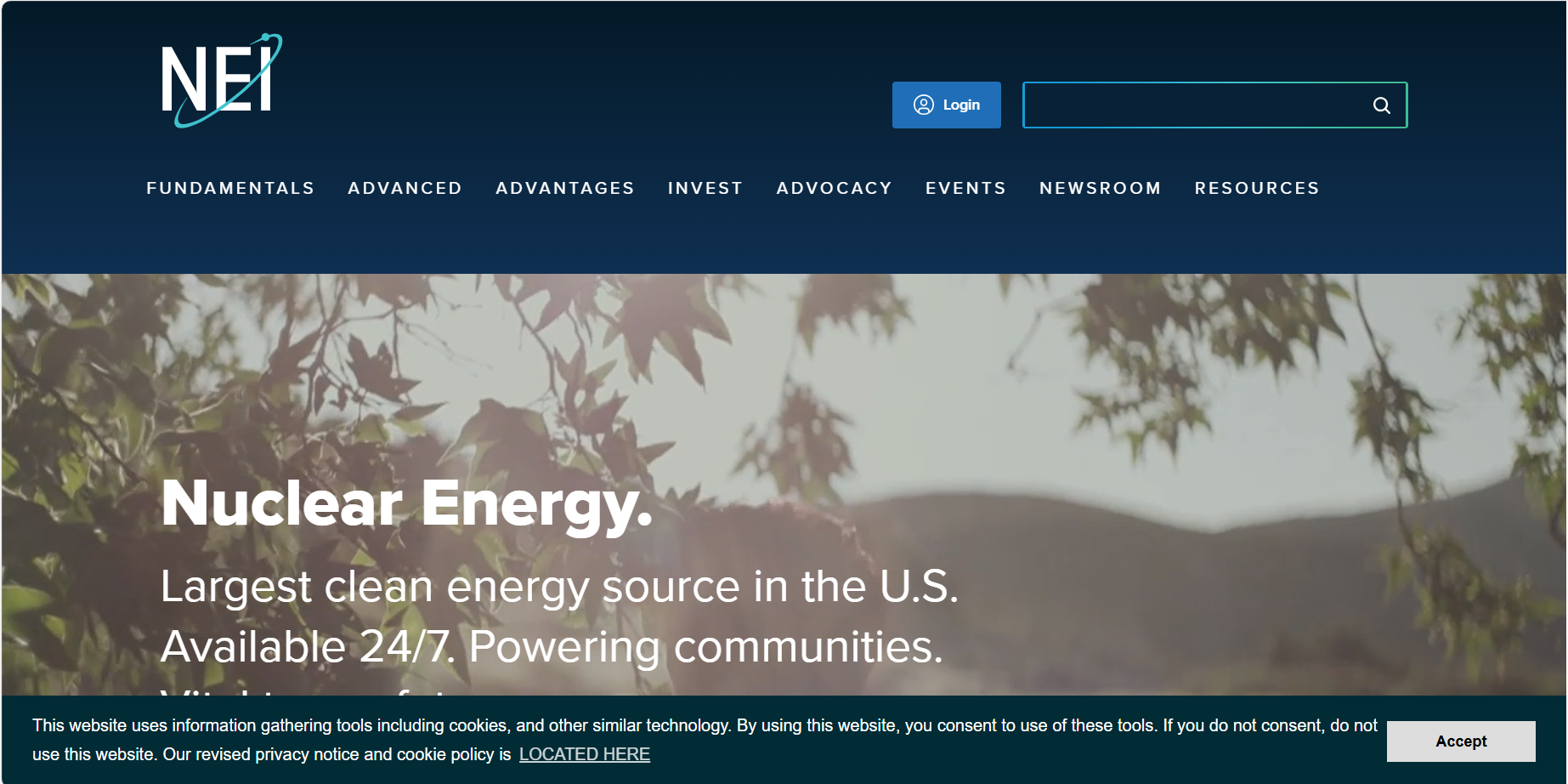 Nuclear Energy Institute (NEI)