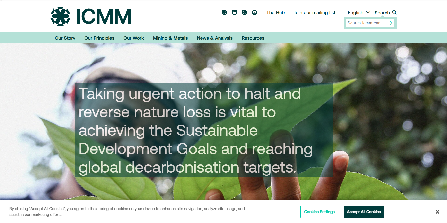 International Council on Mining and Metals (ICMM)